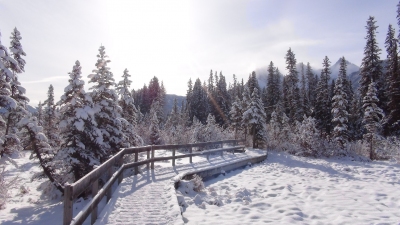 Canmore Alberta im Winter (Alexander Mirschel)  Copyright 
Informazioni sulla licenza disponibili sotto 'Prova delle fonti di immagine'